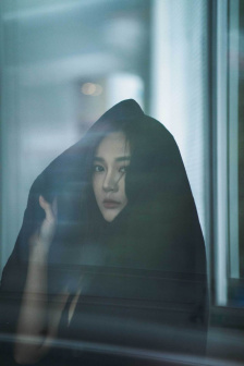 宠物情人下载